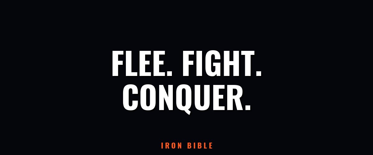 Battle Plan: Step-by-Step Scripture Assault on Sexual Sin